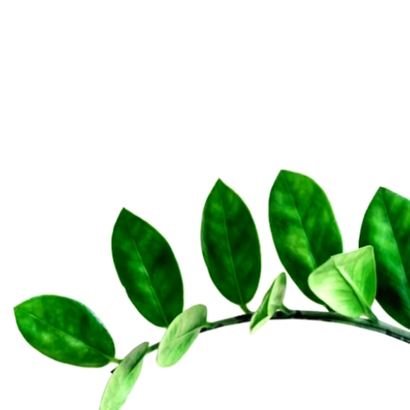 Bags/Purses/Wallets - Picture 1 of 1